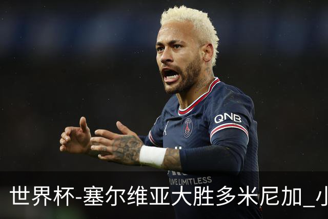 世界杯-塞尔维亚大胜多米尼加 小组第二进八强