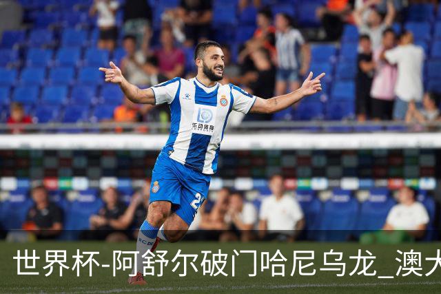 世界杯-阿舒尔破门哈尼乌龙 澳大利亚1-1埃及进加时