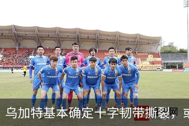 乌加特基本确定十字韧带撕裂，或迫使曼联买人！若伤缺一年可获赔500万